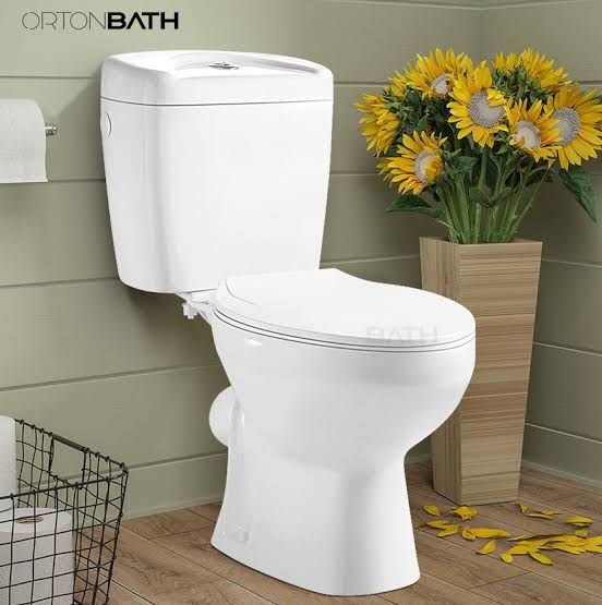 Toilet Bowl Floor-Mount Dual-Flush